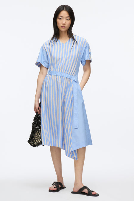 Lantern Sleeve Combo Pleat Dress