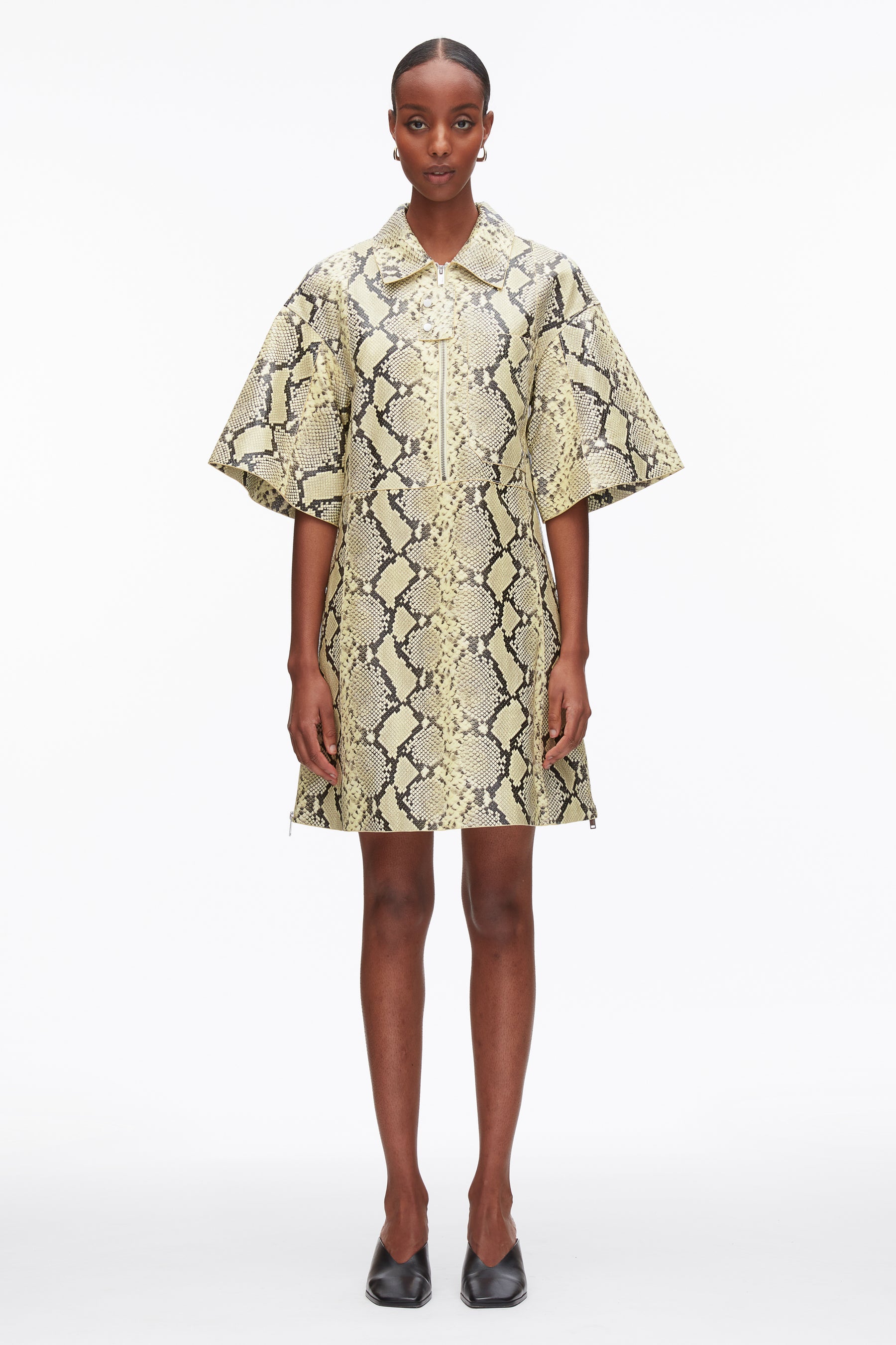 Shift Shirt Dress with Button Placket