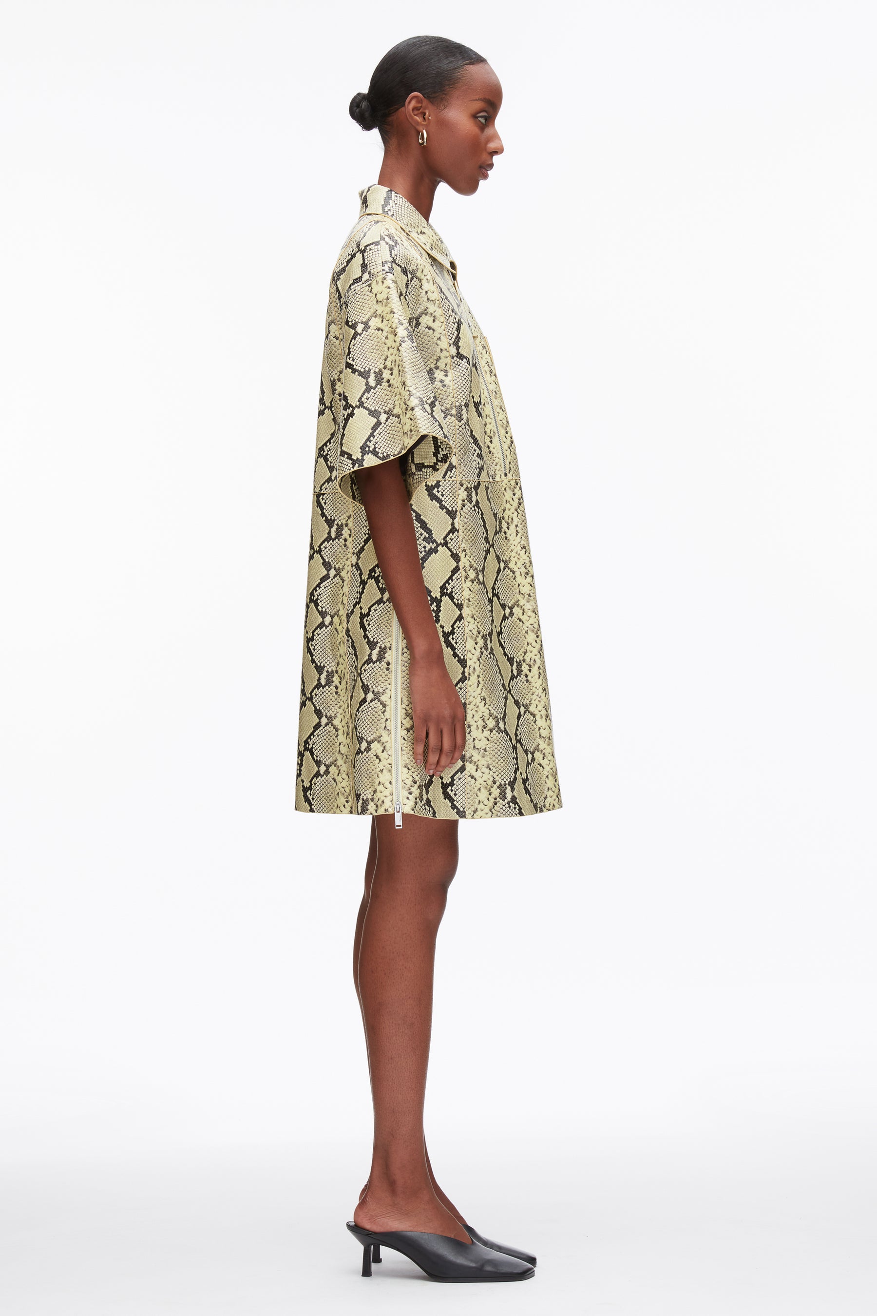 Shift Shirt Dress with Button Placket