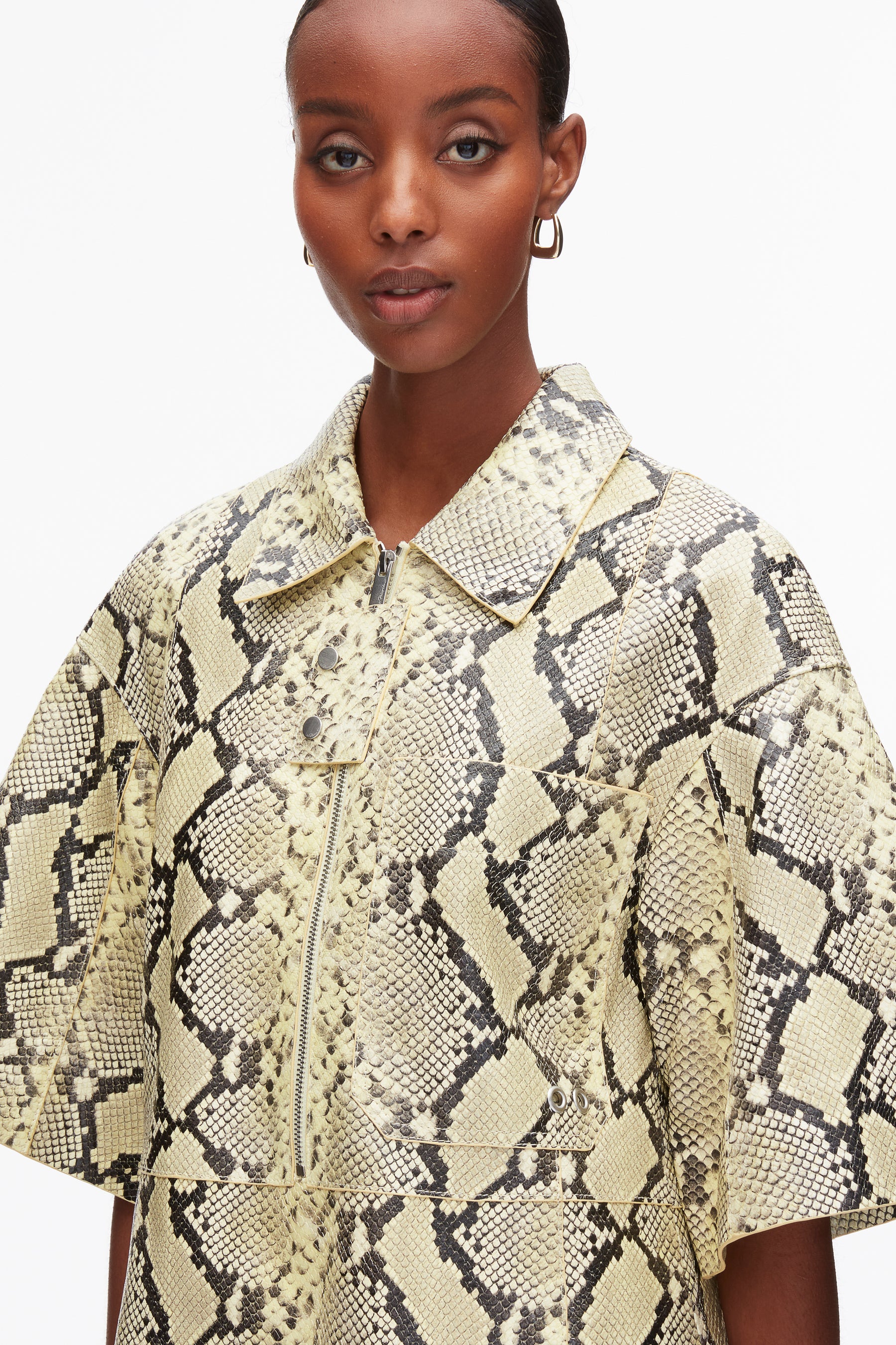 Shift Shirt Dress with Button Placket