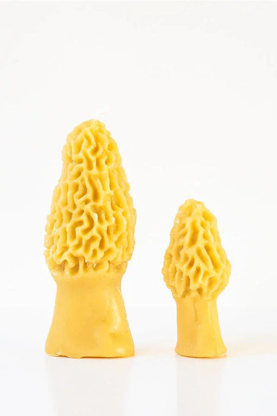 #color_yellow